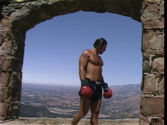 Alek Haimovici (14).JPG